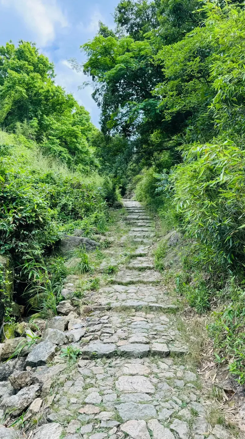 5622e2a2828834ccdf9fba62c76aafe6-sz_1639783