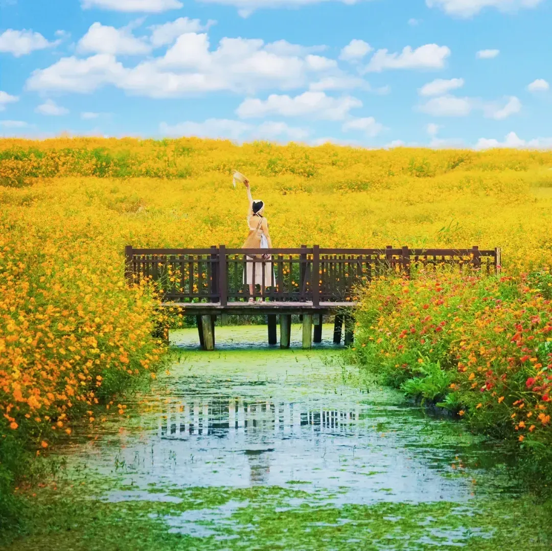 5634faa7fae951afbd49d5b1974f8b8e-sz_1864100