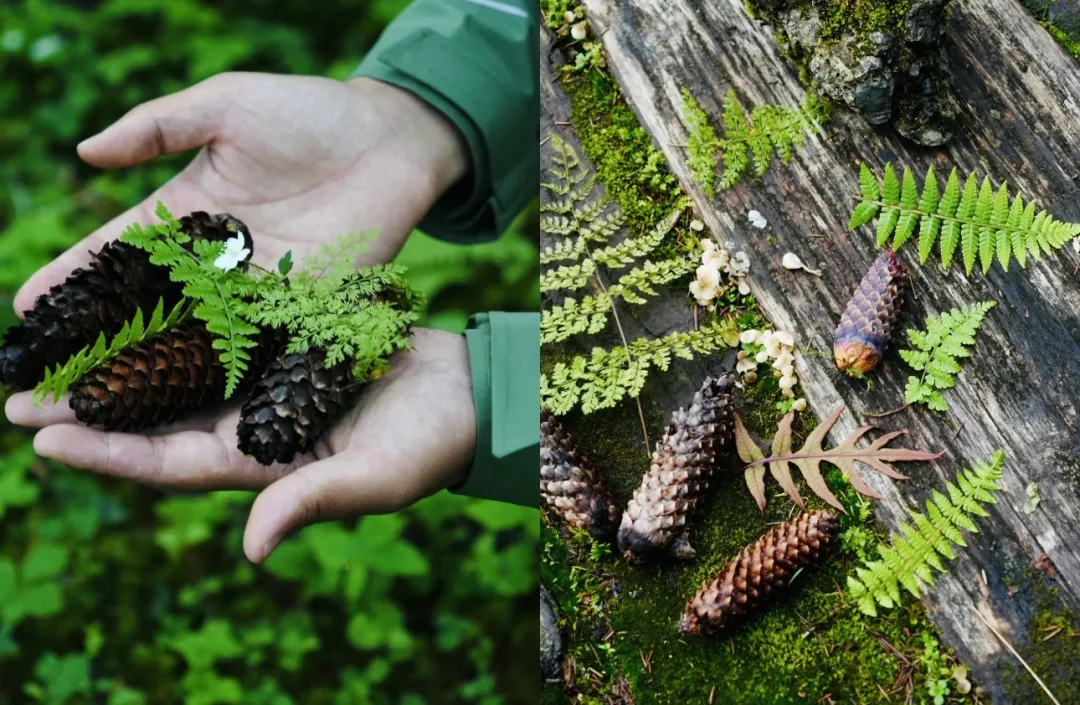 5647e9af95ce6d2d87c81d3465e7728e-sz_509377 5647e9af95ce6d2d87c81d3465e7728e-sz_509377