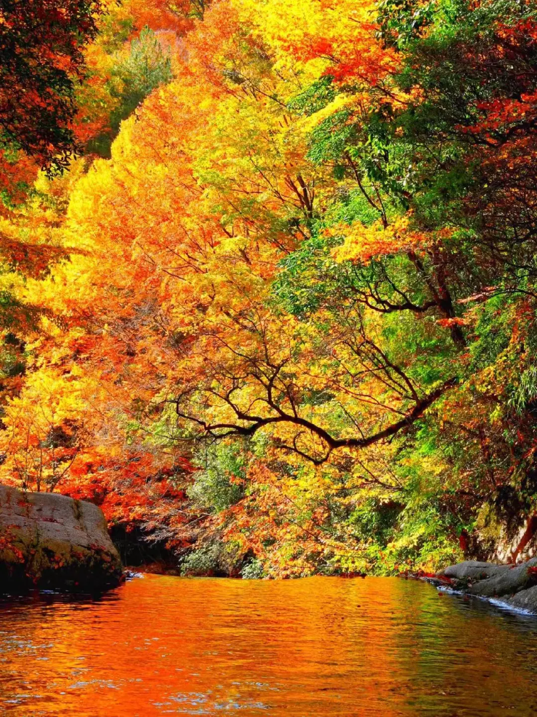 5664b2f5eb3326f480adf744141f7359-sz_655935-1 5664b2f5eb3326f480adf744141f7359-sz_655935-1