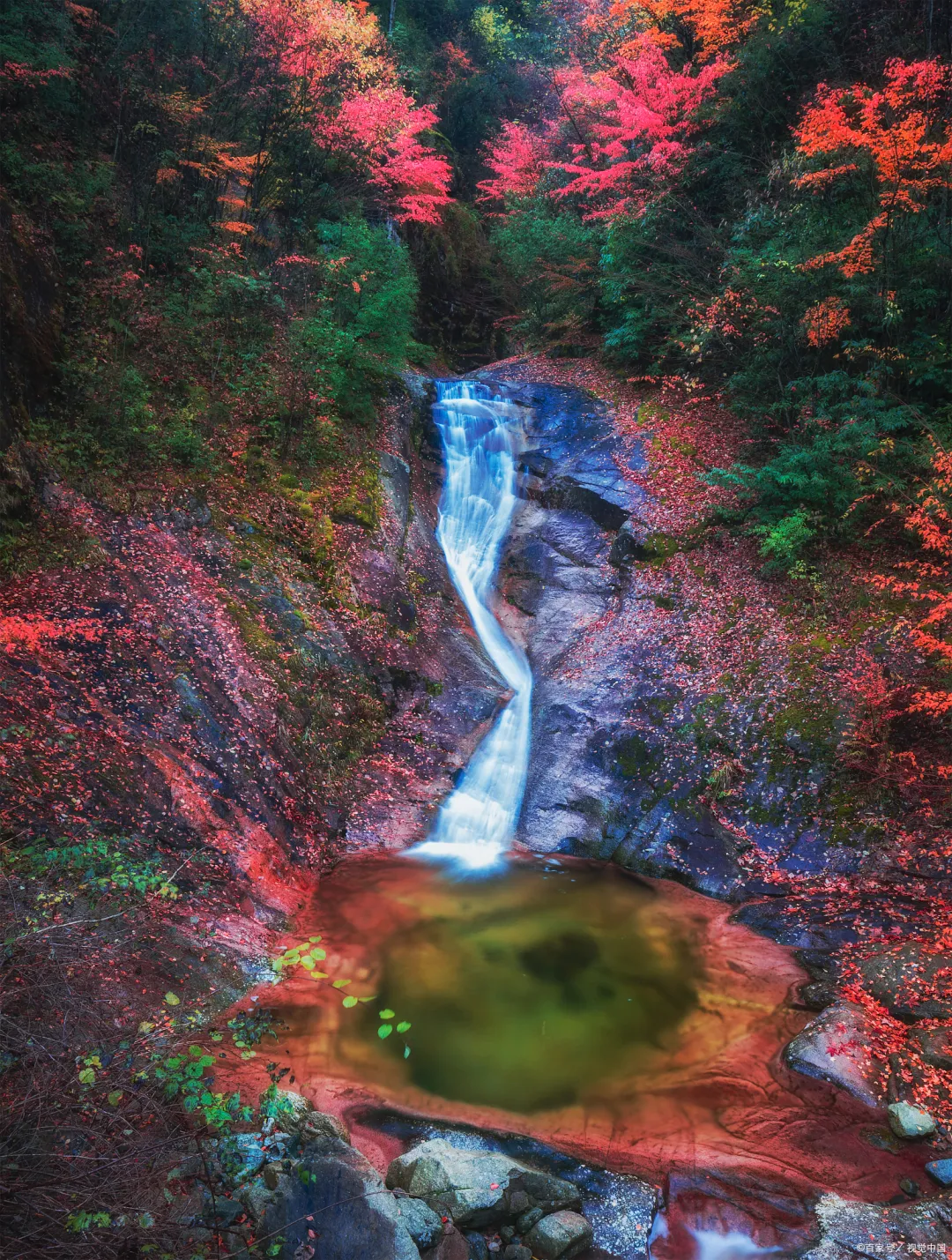 5682e6265a930a6490e7434f94cd5cb1-sz_5230924