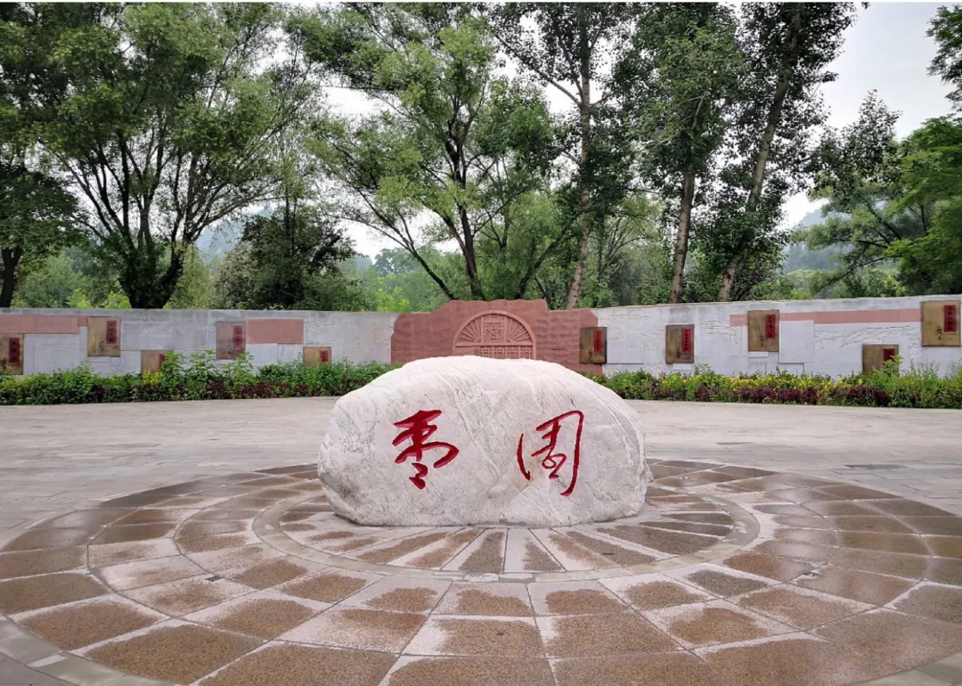 56d511d24cfbdf443d9a9909137589e9-sz_740600-1