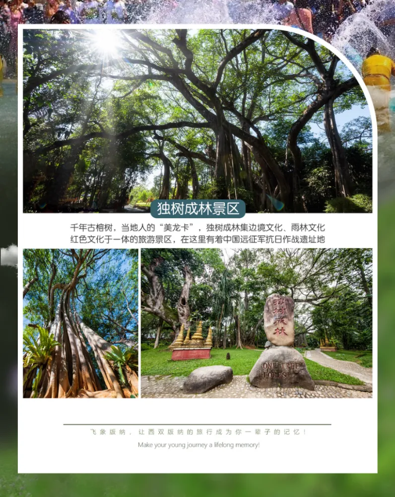 56f7bf5349e0fce7d642ea76d45b62bd-sz_1496305-1