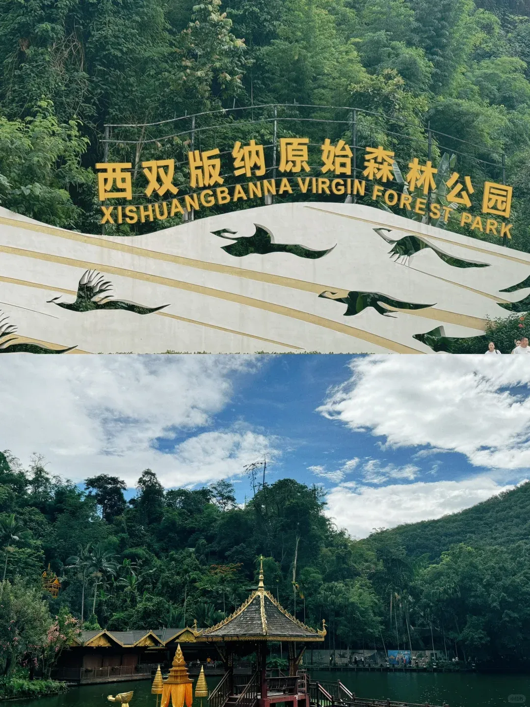 57b190d65644717571ff3d050d10e7cd-sz_3227579-1