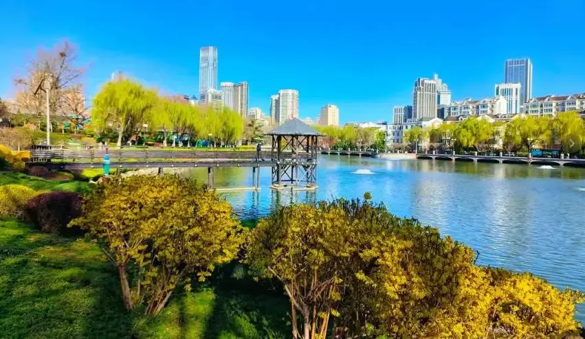 5838874e16062ace4bf9017ea751b4e7-sz_93416-1