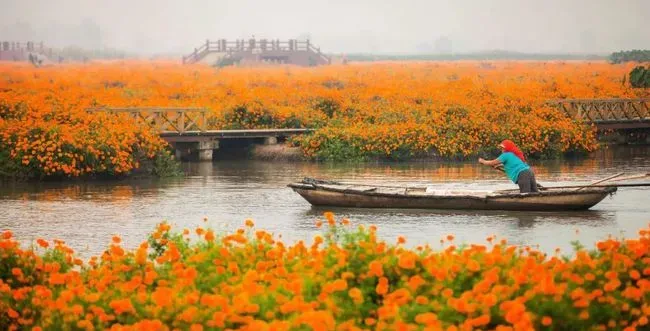 585e296dcbfeb095934c39b46e0df53b-sz_342830