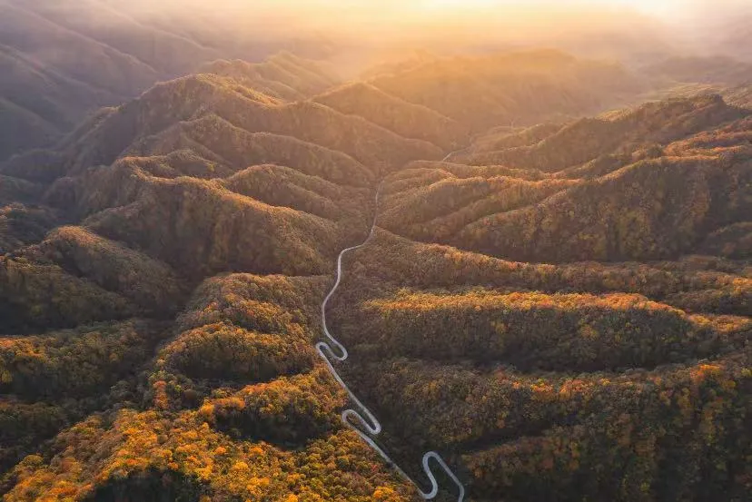 58aadb3886fbb11139a7247f29719676-sz_1019200