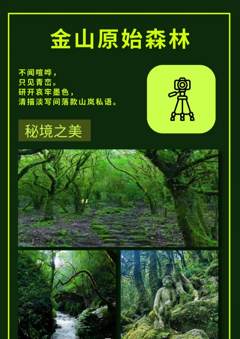 58b586fb9e33d1a5a0e0c5623b4dcb8c-sz_1339922