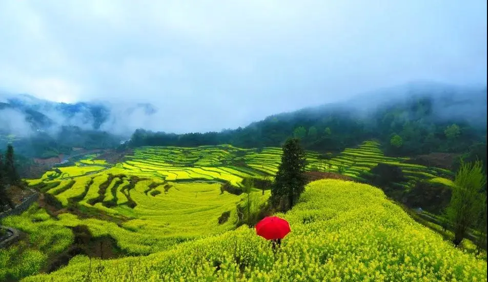 58b917f3071e746c1adce8f907a3ed56-sz_115557 58b917f3071e746c1adce8f907a3ed56-sz_115557