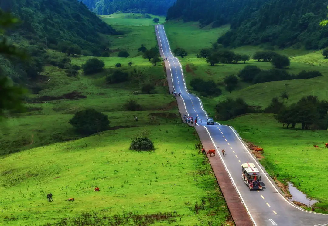 59517ab1b29e83fab011b579d0e0b3ac-sz_1035601