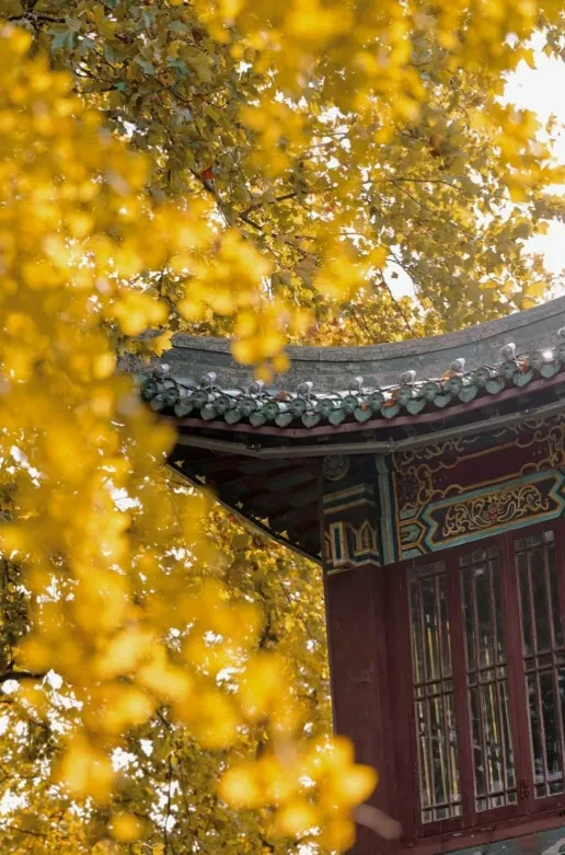 59c5f0d4247d21f191c15da2bd7c5bf1-sz_1118861 59c5f0d4247d21f191c15da2bd7c5bf1-sz_1118861