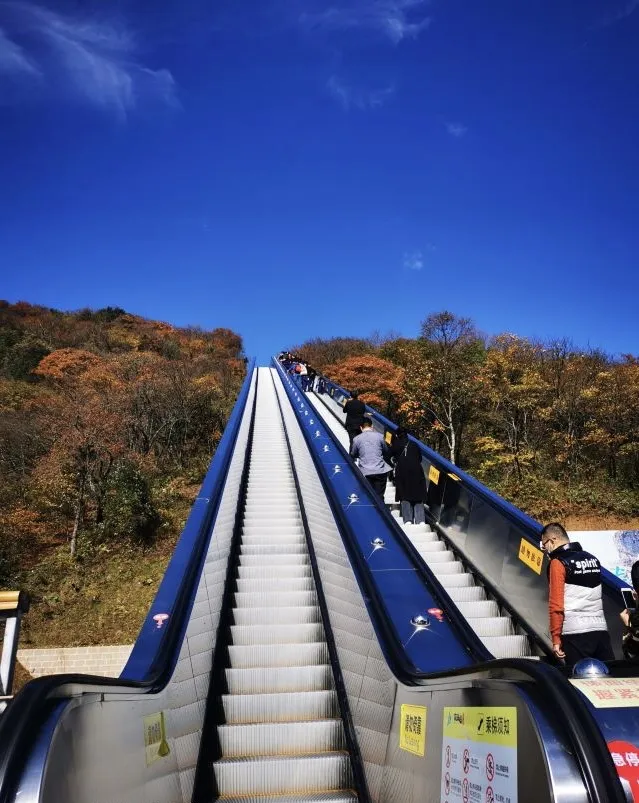 5a3a29f1970e1e3c9d3c12c8feaccfe0-sz_189800-2 5a3a29f1970e1e3c9d3c12c8feaccfe0-sz_189800-2