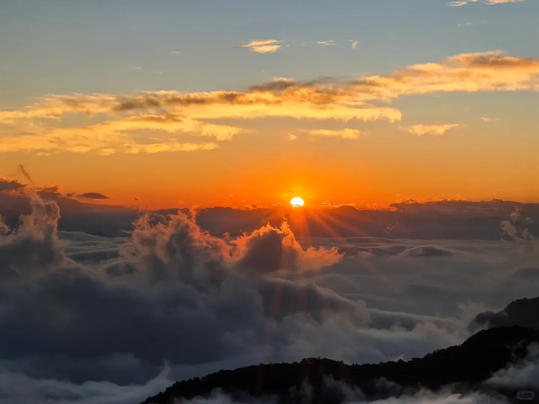 5a62f43cd0766f815d07fd163d6203c5-sz_149287-1