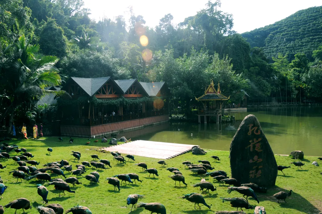 5a8707dfb44ab1155e55212e7821eaa4-sz_9209448-1 5a8707dfb44ab1155e55212e7821eaa4-sz_9209448-1