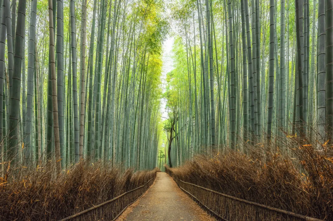 5a928a6100ed1fdcb7bf933003970612-sz_1195586 5a928a6100ed1fdcb7bf933003970612-sz_1195586