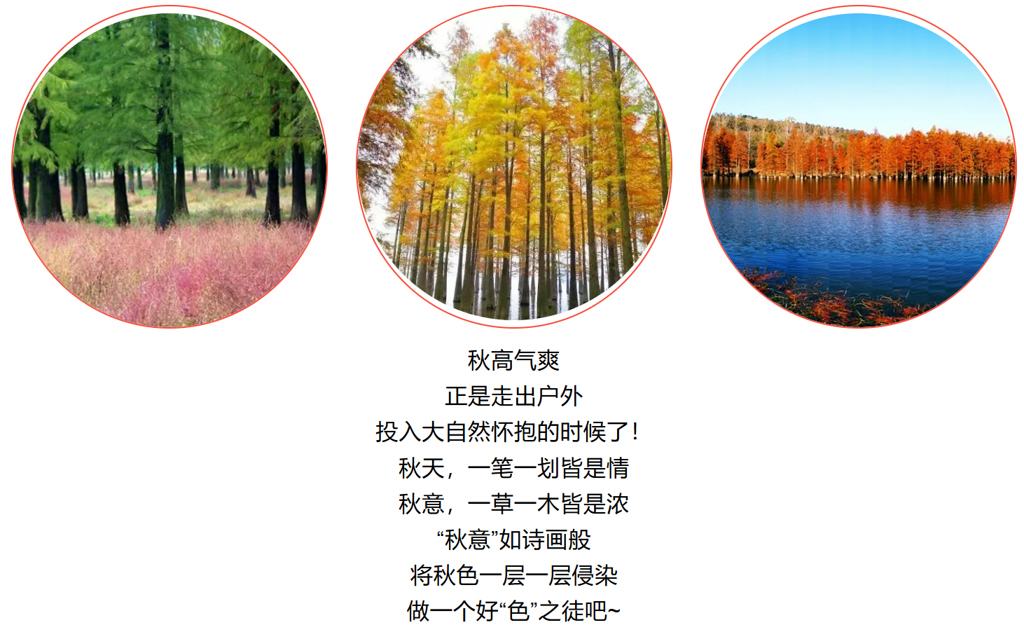 5abf63c31e4af712c8677628f38c6b60 5abf63c31e4af712c8677628f38c6b60