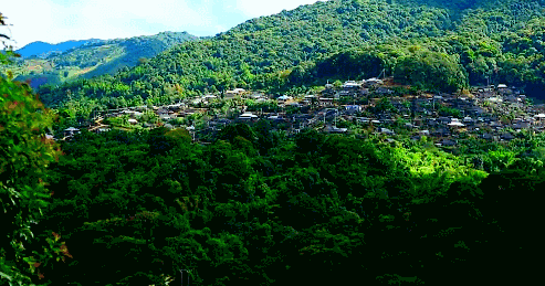 5ac02a450cebd4854bbf213e425565a4-sz_907909