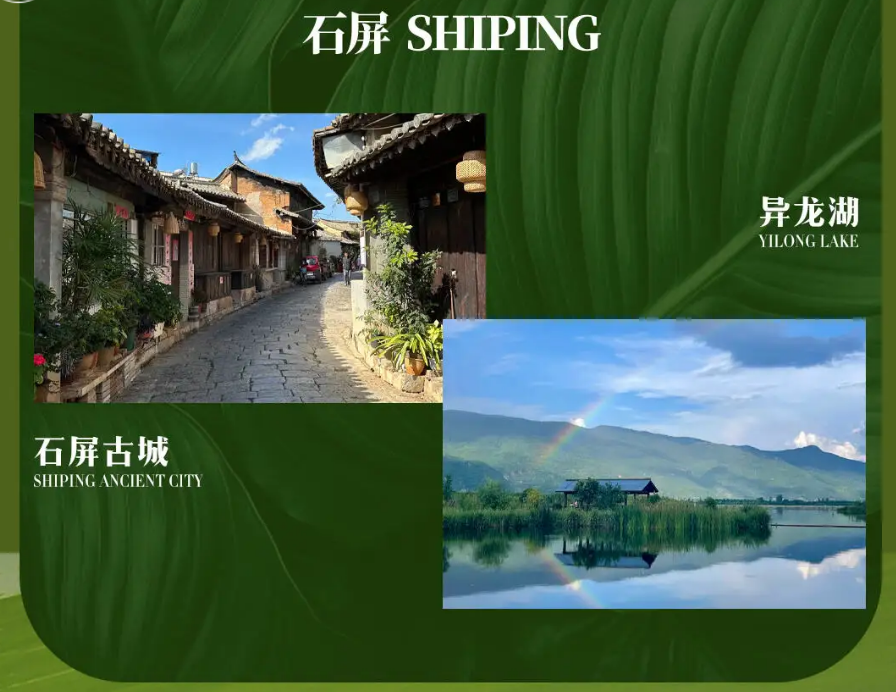 5b233187a1909e4f95c80c98b4717356 5b233187a1909e4f95c80c98b4717356