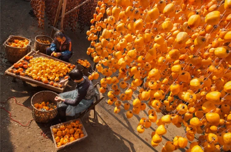 5bb6429108161ff699b35c8b42ab6204-sz_1569166 5bb6429108161ff699b35c8b42ab6204-sz_1569166