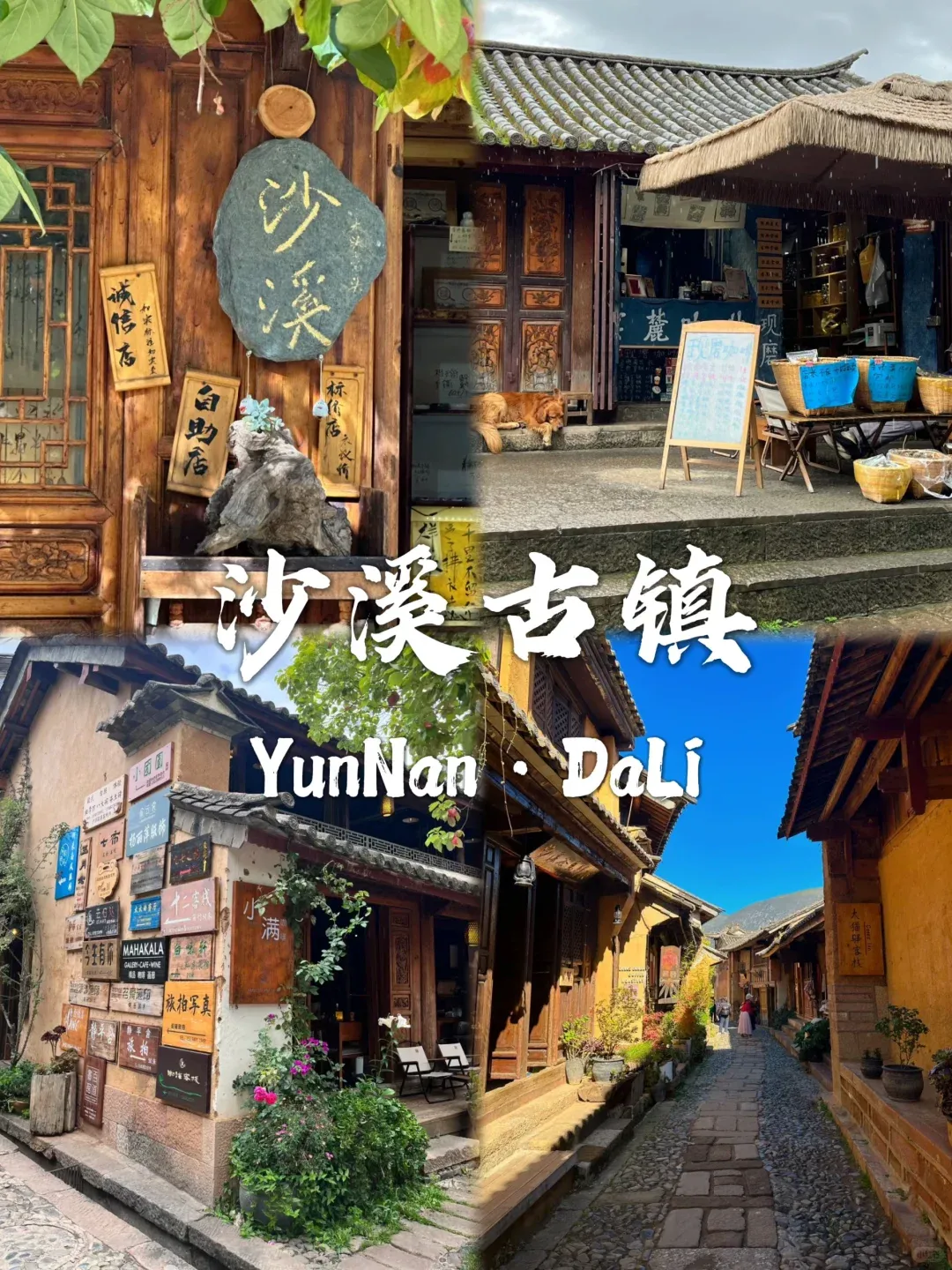 5c0c3756913b5523ae20a00d6228db05-sz_3669357