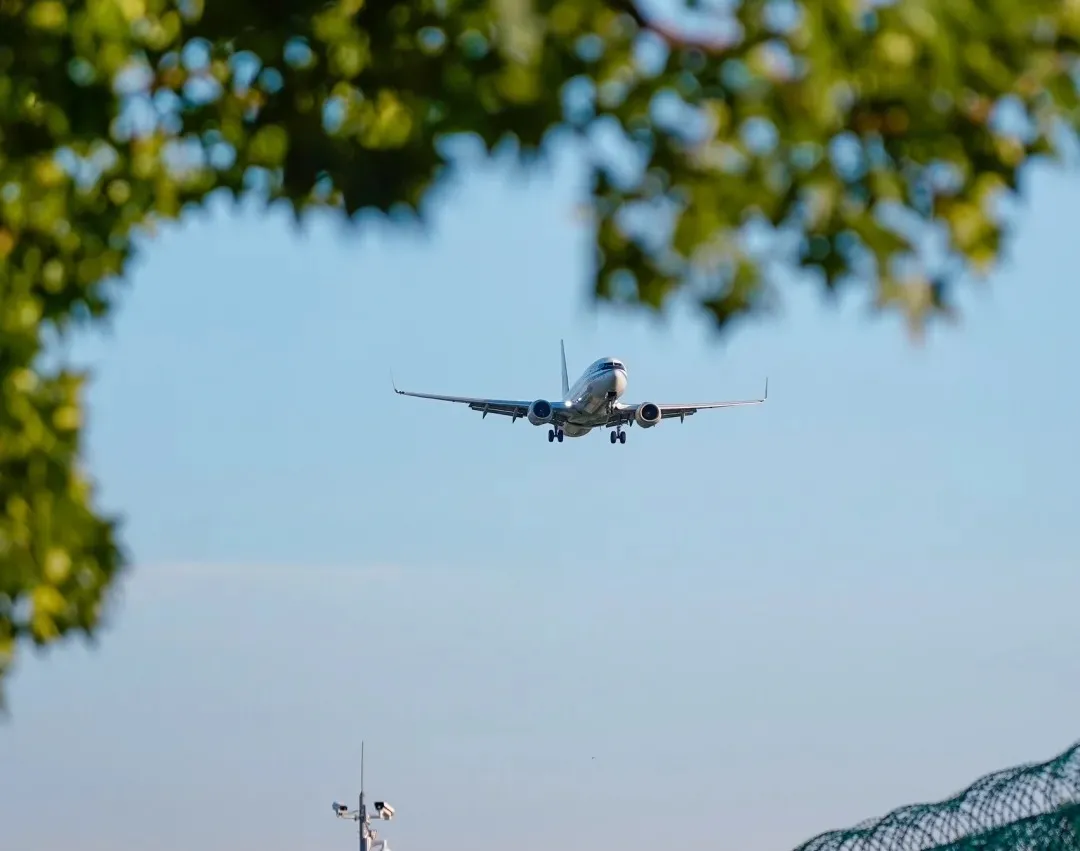 5c25d1ef4d18e07a480729d0f8e96493-sz_274359-1