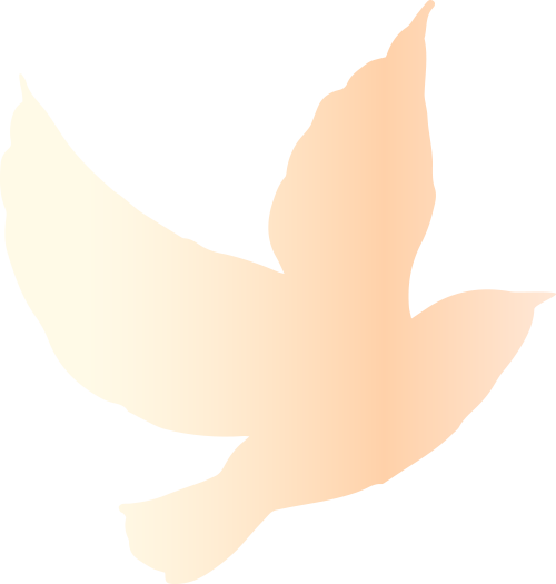 5c28dea4d6829356fdbac663c1ab0a81_sz-27247-1 5c28dea4d6829356fdbac663c1ab0a81_sz-27247-1