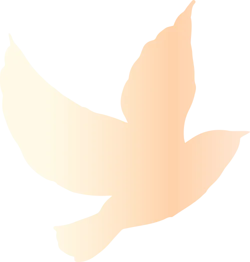 5c28dea4d6829356fdbac663c1ab0a81_sz-27247-2 5c28dea4d6829356fdbac663c1ab0a81_sz-27247-2