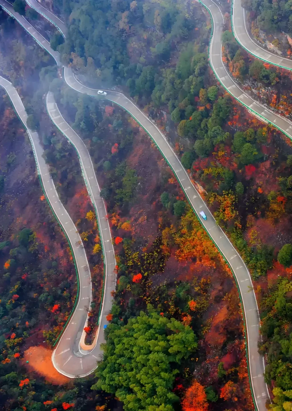 5c36db80ec029dd50e4c0bdaaef7c9ea-sz_3486499 5c36db80ec029dd50e4c0bdaaef7c9ea-sz_3486499