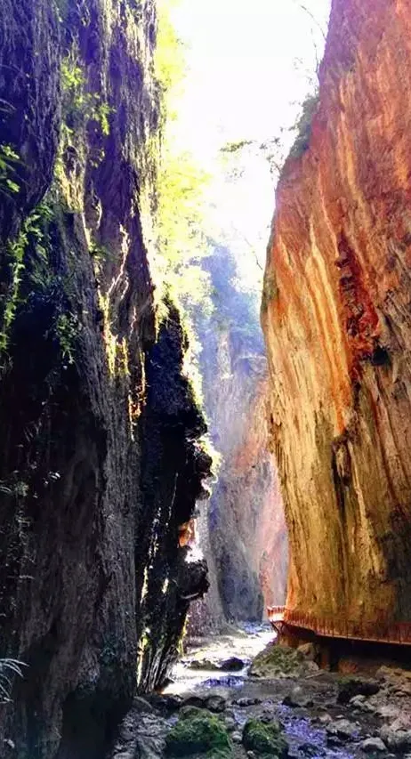 5c4cfc8b226a9f4935f815bfc8a46f64-sz_1010424 5c4cfc8b226a9f4935f815bfc8a46f64-sz_1010424