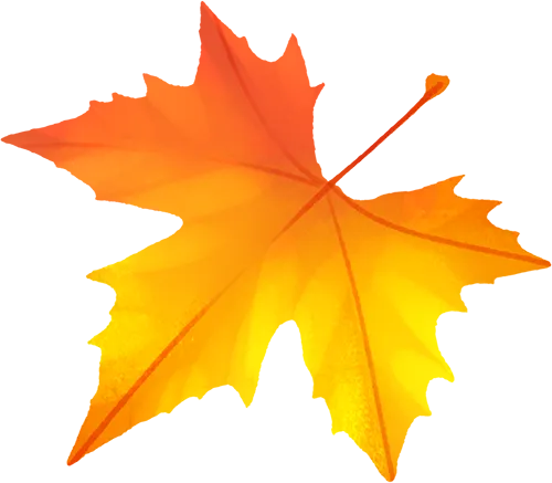 5c7c3248dbb98728c3a4860e471052ac_sz-155625-2 5c7c3248dbb98728c3a4860e471052ac_sz-155625-2