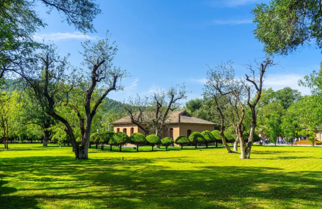 5cb06dc2776ff70330880dbdbe808eb5-sz_588852-1