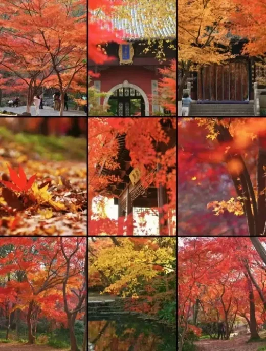 5cf85ef9f13a698d0faf292ff505ad56-sz_1001908 5cf85ef9f13a698d0faf292ff505ad56-sz_1001908