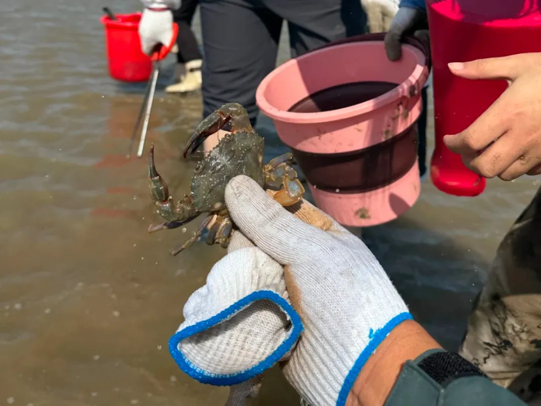 5d8dca4aac7fabf8be1c94fece48e0f1-sz_1314124 5d8dca4aac7fabf8be1c94fece48e0f1-sz_1314124