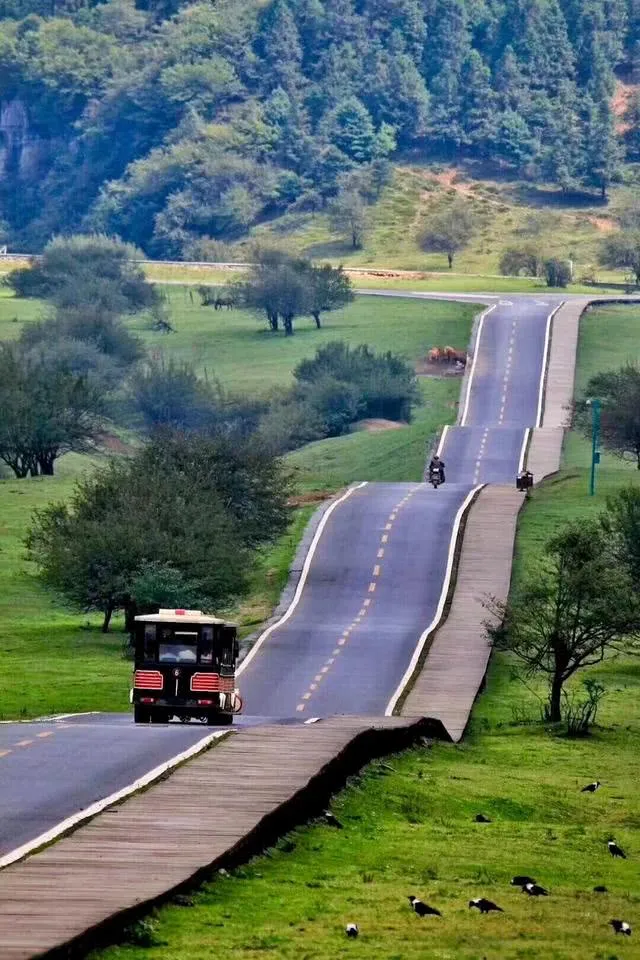 5dc4ce3742e373b26be55c562f179003-sz_1653289-3 5dc4ce3742e373b26be55c562f179003-sz_1653289-3