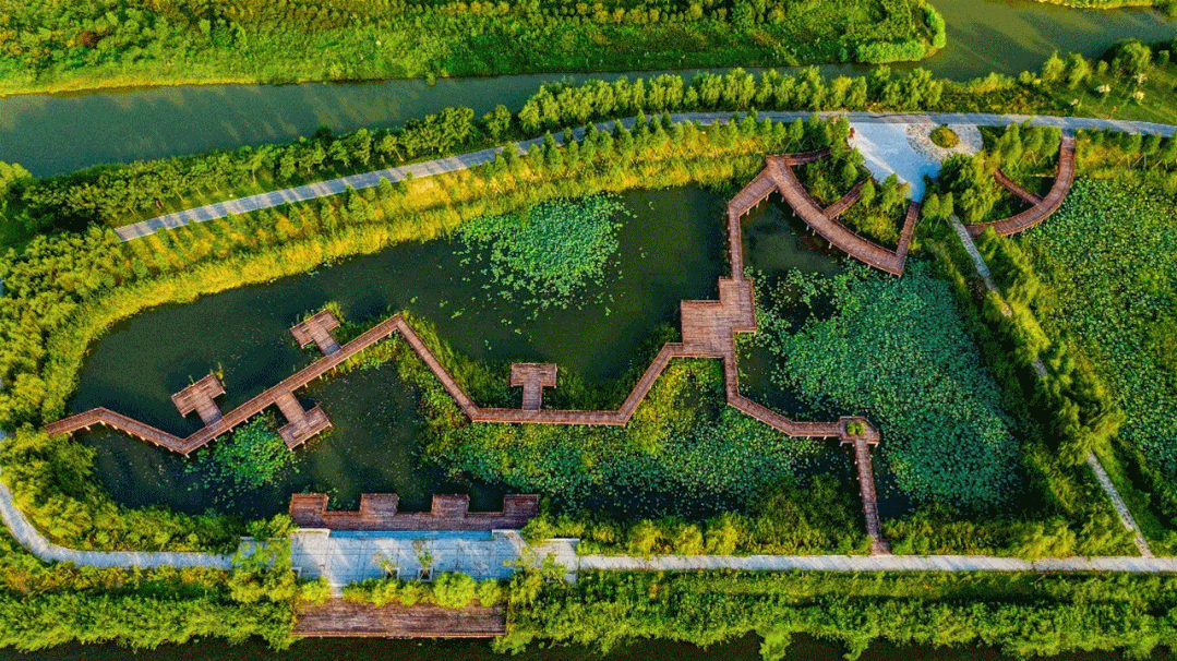 5ddd6930c4d9e274fb9cd01b22d39e51-sz_1334611