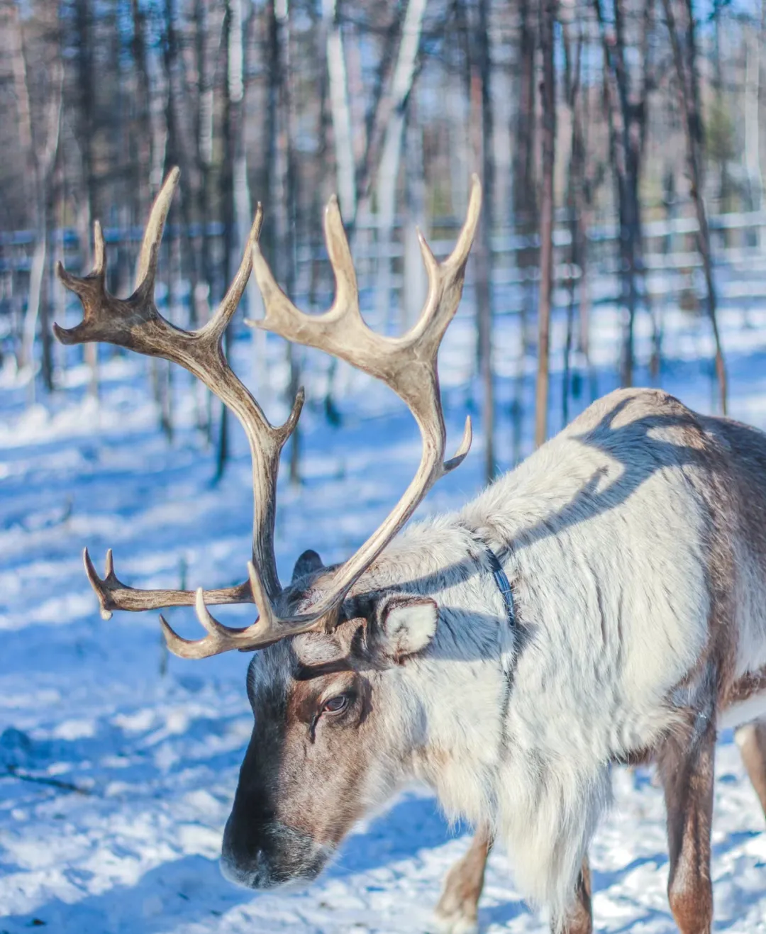 5df875e36b7290bf8a494eb70dbde29d-sz_1307640-1 5df875e36b7290bf8a494eb70dbde29d-sz_1307640-1