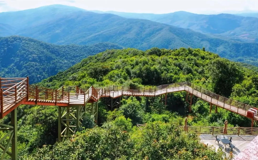 5e55be5af2fd3ffc47058e7935574932-sz_482735 5e55be5af2fd3ffc47058e7935574932-sz_482735