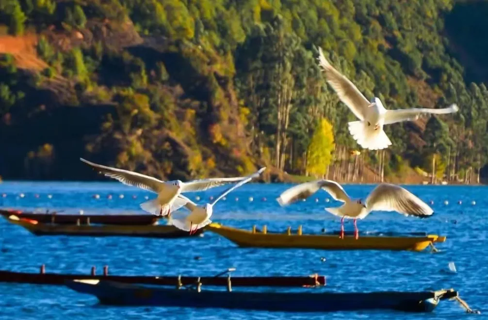 5e5a97e125c57e56177a2b00945c994f-sz_151248 5e5a97e125c57e56177a2b00945c994f-sz_151248