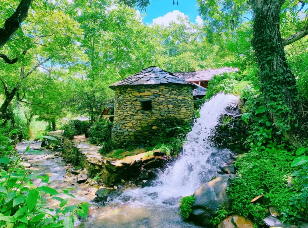 5ee027b17f487e081475e65a8f85596a-sz_753739 5ee027b17f487e081475e65a8f85596a-sz_753739