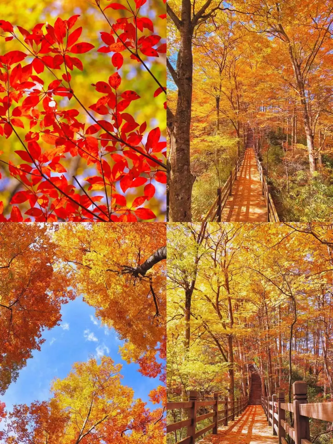 5ef170345c47c79ae397b306467a4447-sz_696837-1 5ef170345c47c79ae397b306467a4447-sz_696837-1