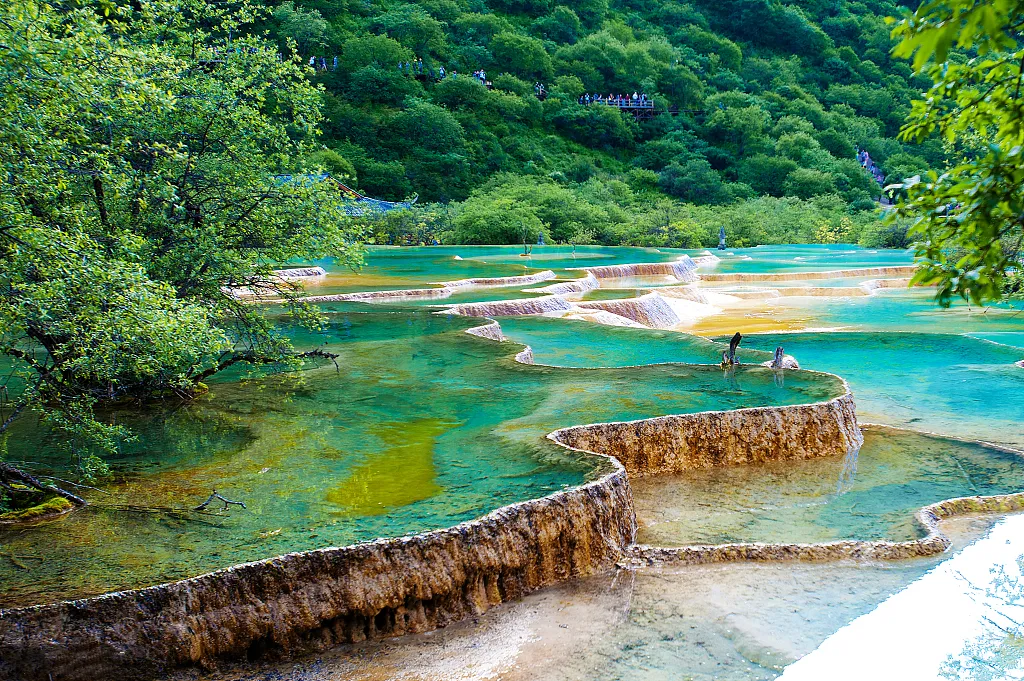 5f4454b37f27ba448cc71b7a53b20d68-sz_1858032 5f4454b37f27ba448cc71b7a53b20d68-sz_1858032