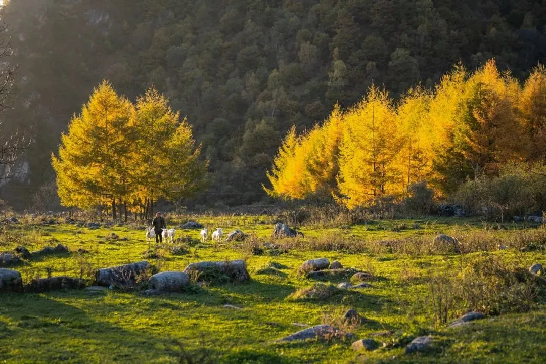 5f4a5eeafae4dae05df53ea50ce19b3f-sz_182727 5f4a5eeafae4dae05df53ea50ce19b3f-sz_182727