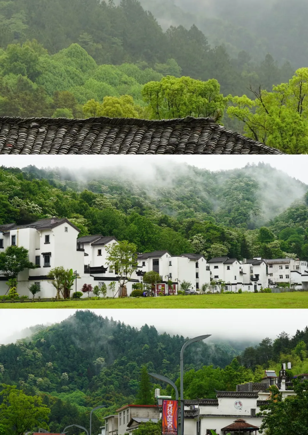 5f96514919af433434d9a85a3430ffc9-sz_1941951 5f96514919af433434d9a85a3430ffc9-sz_1941951