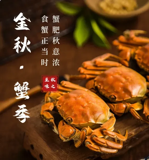 5fca697716678b1e71e437057fddf269-sz_554184-1 5fca697716678b1e71e437057fddf269-sz_554184-1