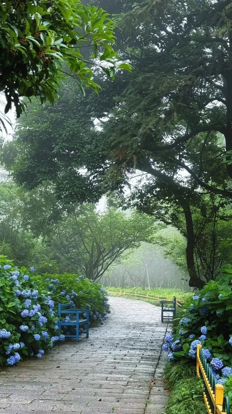 5fdaba8202412b0fa0e83eab11b5ceb5-sz_684980