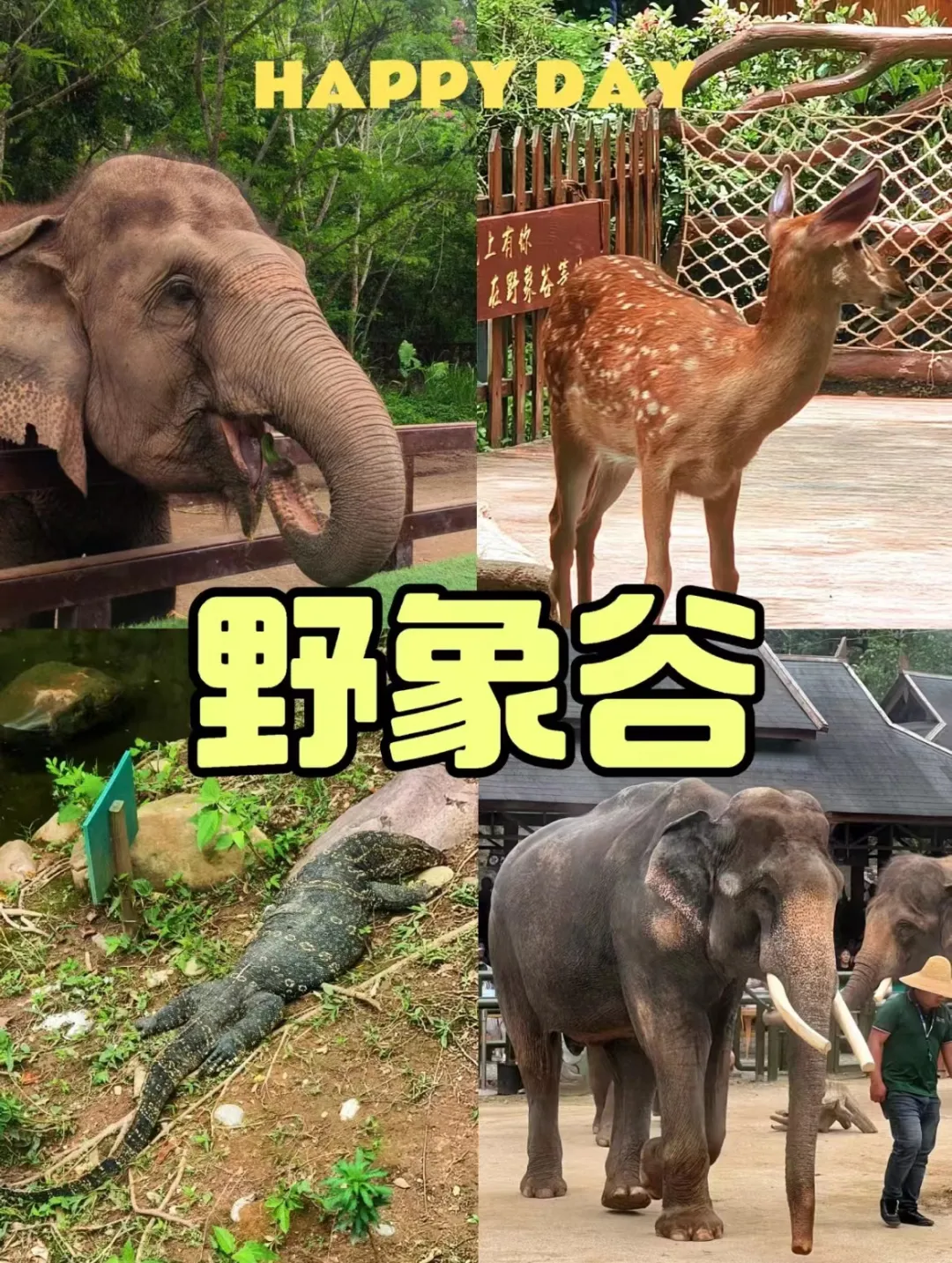 5fde886cd81e145e60531b3be288ecdd-sz_671128