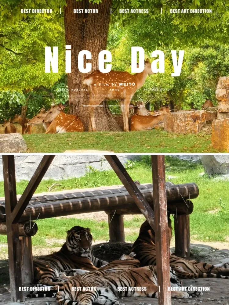 60406542c9279bd3e87fdae87abeb7f1-sz_2503235-1 60406542c9279bd3e87fdae87abeb7f1-sz_2503235-1