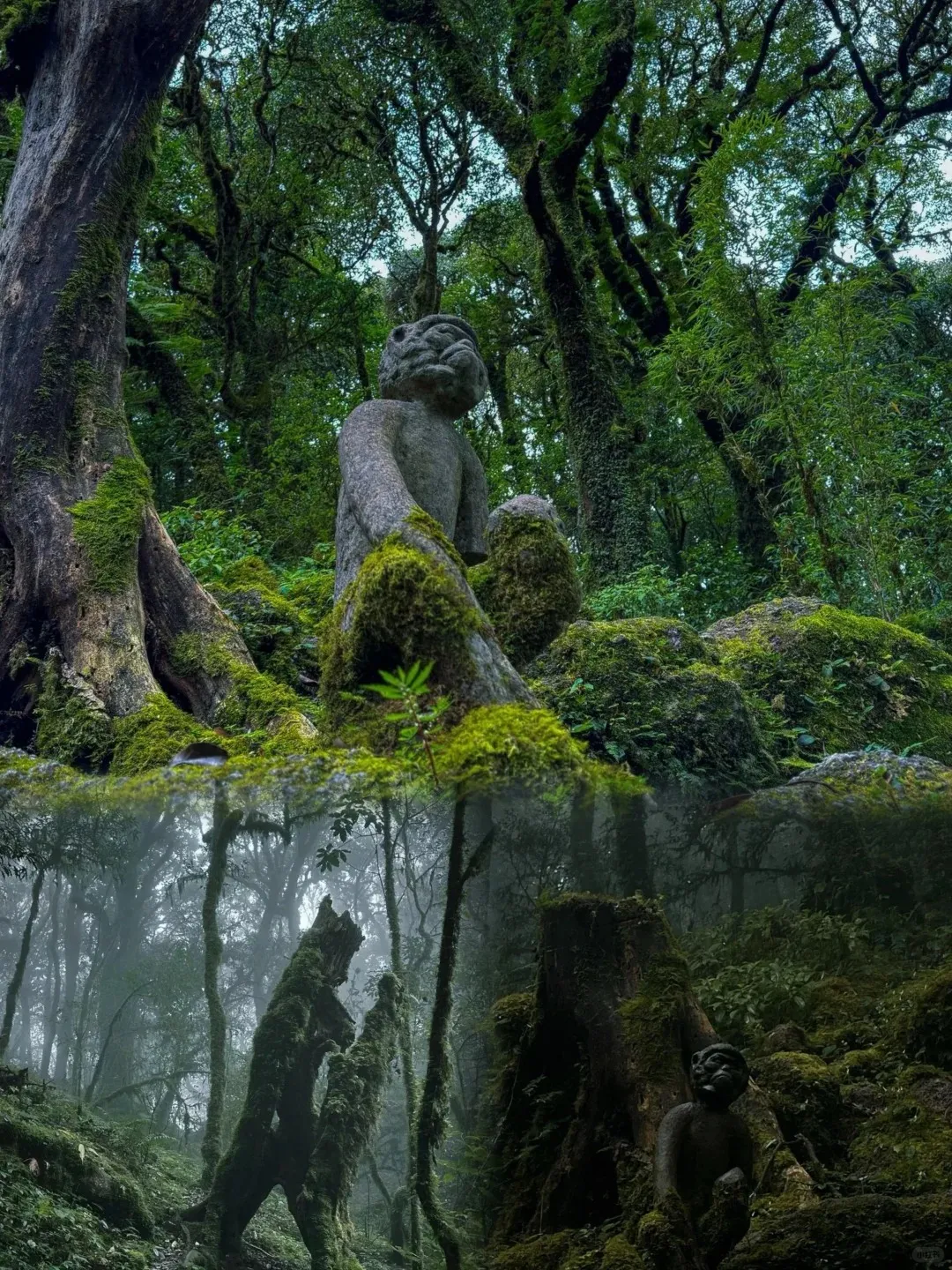 611b46b0ec29ae65d2b06ca2a6b01089-sz_662787-1