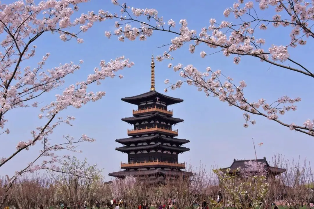 6169b3f22142fd605382e6c2760219de-sz_1588795 6169b3f22142fd605382e6c2760219de-sz_1588795