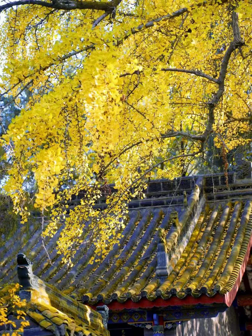 6196f4478a7cca05fbfd1dd8d8e91761-sz_3071552